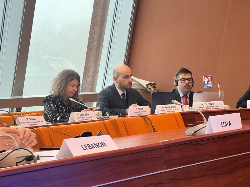 The Head of the President's Office of the Personal Data Protection Service of Georgia participates in a conference organized by the Council of Europe